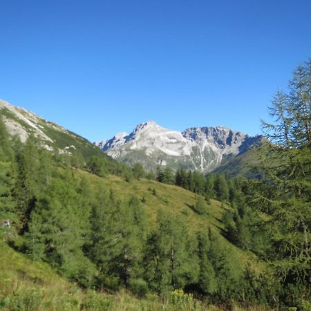 Gaestehaus Marianne Baier Zederhaus Bagian luar foto
