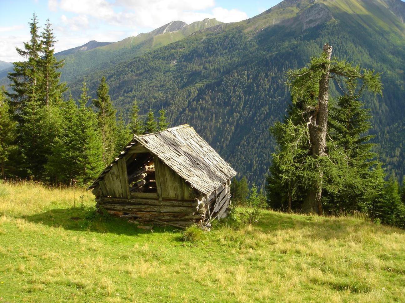 Gaestehaus Marianne Baier Zederhaus Bagian luar foto